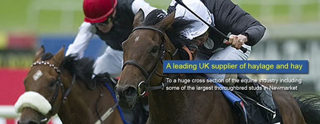 haylage-forage-suppliers.jpg